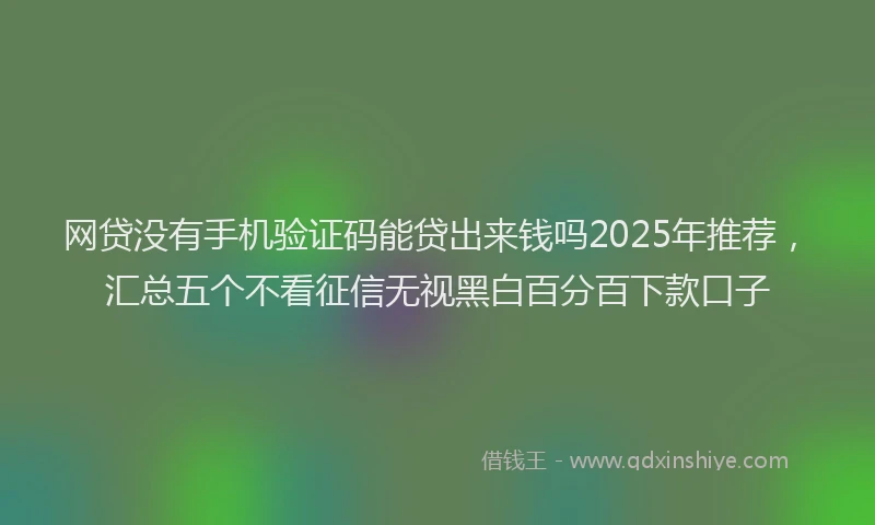 网贷没有手机验证码能贷出来钱吗2025年推荐，汇总五个不看征信无视黑白百分百下款口子