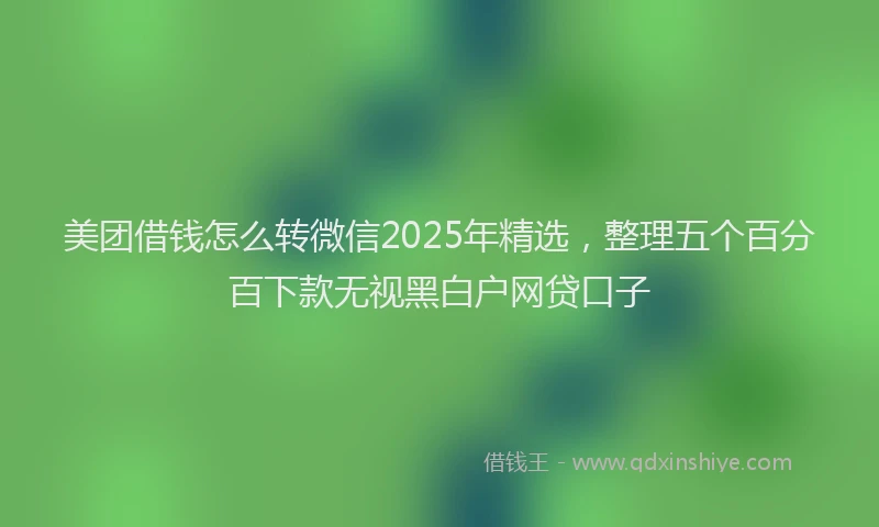 美团借钱怎么转微信2025年精选，整理五个百分百下款无视黑白户网贷口子