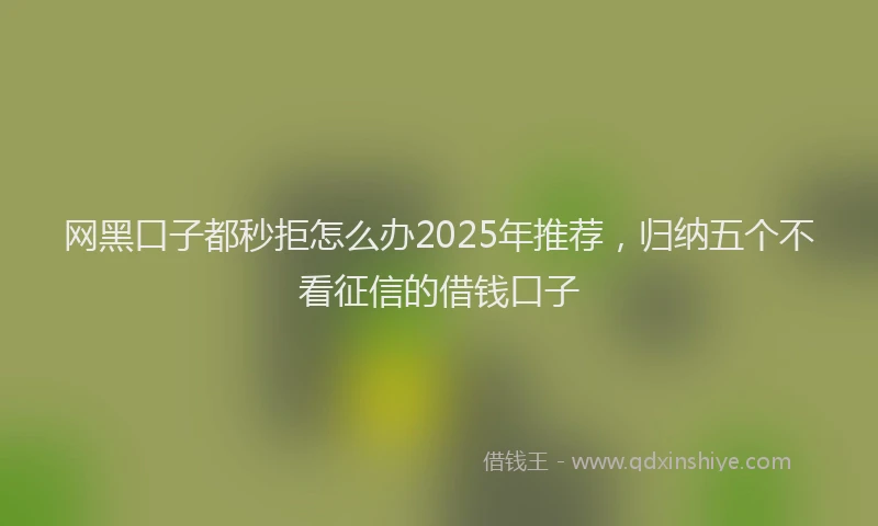 网黑口子都秒拒怎么办2025年推荐，归纳五个不看征信的借钱口子