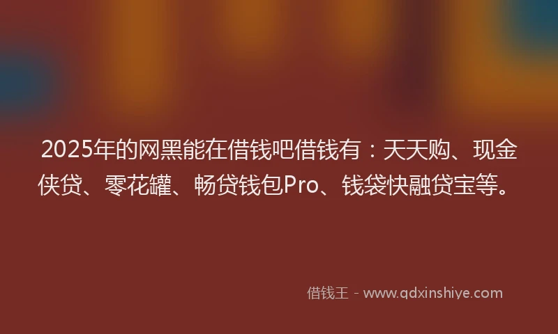 2025年的网黑能在借钱吧借钱有：天天购、现金侠贷、零花罐、畅贷钱包Pro、钱袋快融贷宝等。