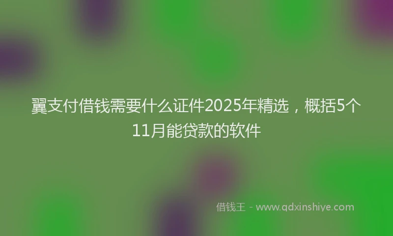 翼支付借钱需要什么证件2025年精选，概括5个11月能贷款的软件