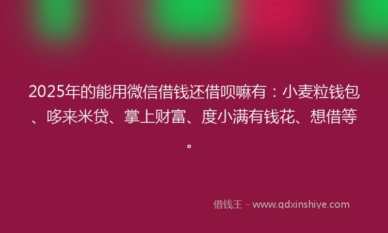 2025年的能用微信借钱还借呗嘛有：小麦粒钱包、哆来米贷、掌上财富、度小满有钱花、想借等。