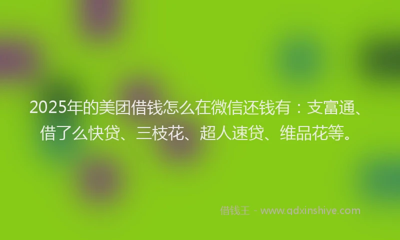 2025年的美团借钱怎么在微信还钱有：支富通、借了么快贷、三枝花、超人速贷、维品花等。