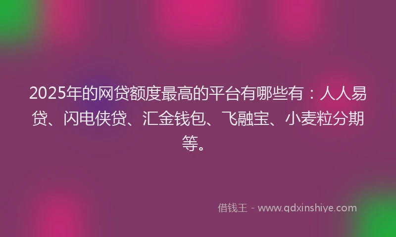 2025年的网贷额度最高的平台有哪些有：人人易贷、闪电侠贷、汇金钱包、飞融宝、小麦粒分期等。
