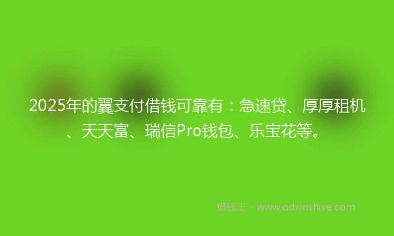2025年的翼支付借钱可靠有：急速贷、厚厚租机、天天富、瑞信Pro钱包、乐宝花等。