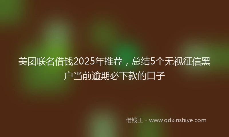 美团联名借钱2025年推荐，总结5个无视征信黑户当前逾期必下款的口子