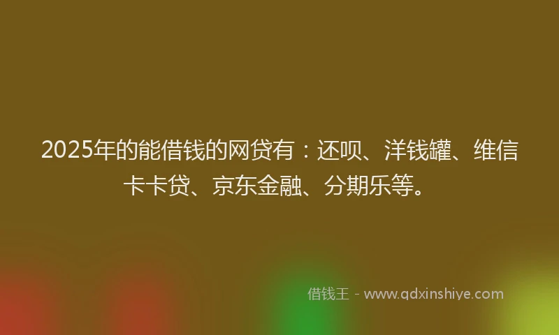 2025年的能借钱的网贷有：还呗、洋钱罐、维信卡卡贷、京东金融、分期乐等。