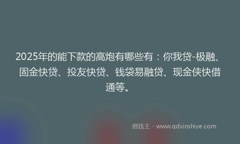 2025年的能下款的高炮有哪些有：你我贷-极融、固金快贷、投友快贷、钱袋易融贷、现金侠快借通等。