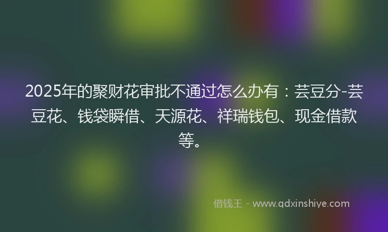 2025年的聚财花审批不通过怎么办有：芸豆分-芸豆花、钱袋瞬借、天源花、祥瑞钱包、现金借款等。