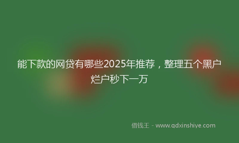 能下款的网贷有哪些2025年推荐，整理五个黑户烂户秒下一万