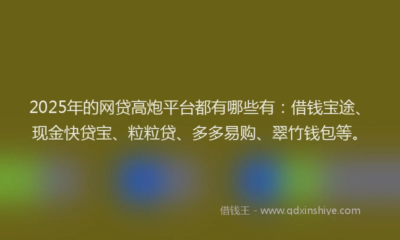 2025年的网贷高炮平台都有哪些有：借钱宝途、现金快贷宝、粒粒贷、多多易购、翠竹钱包等。