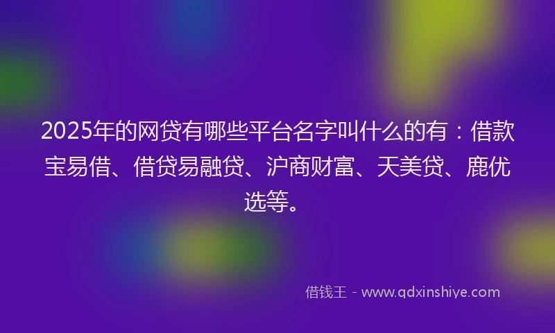 2025年的网贷有哪些平台名字叫什么的有：借款宝易借、借贷易融贷、沪商财富、天美贷、鹿优选等。