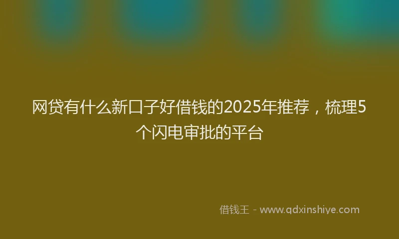 网贷有什么新口子好借钱的2025年推荐，梳理5个闪电审批的平台