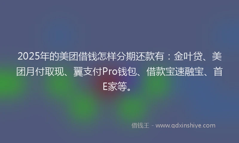 2025年的美团借钱怎样分期还款有：金叶贷、美团月付取现、翼支付Pro钱包、借款宝速融宝、首E家等。