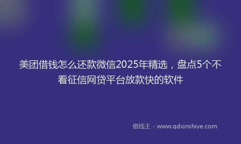美团借钱怎么还款微信2025年精选，盘点5个不看征信网贷平台放款快的软件