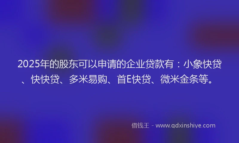 2025年的股东可以申请的企业贷款有：小象快贷、快快贷、多米易购、首E快贷、微米金条等。
