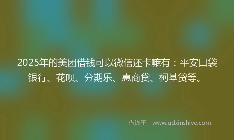 2025年的美团借钱可以微信还卡嘛有：平安口袋银行、花呗、分期乐、惠商贷、柯基贷等。