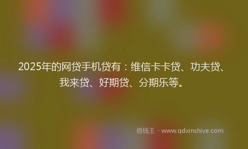 2025年的网贷手机贷有：维信卡卡贷、功夫贷、我来贷、好期贷、分期乐等。