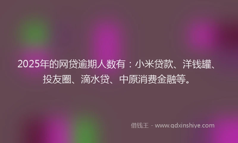 2025年的网贷逾期人数有：小米贷款、洋钱罐、投友圈、滴水贷、中原消费金融等。