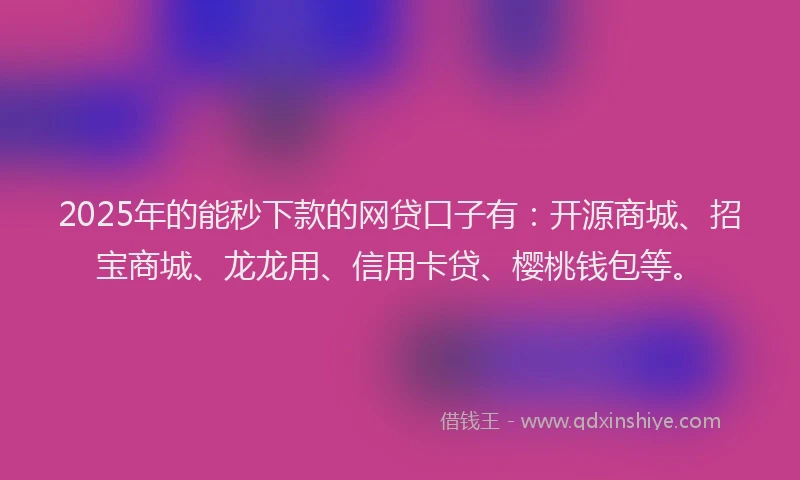 2025年的能秒下款的网贷口子有：开源商城、招宝商城、龙龙用、信用卡贷、樱桃钱包等。