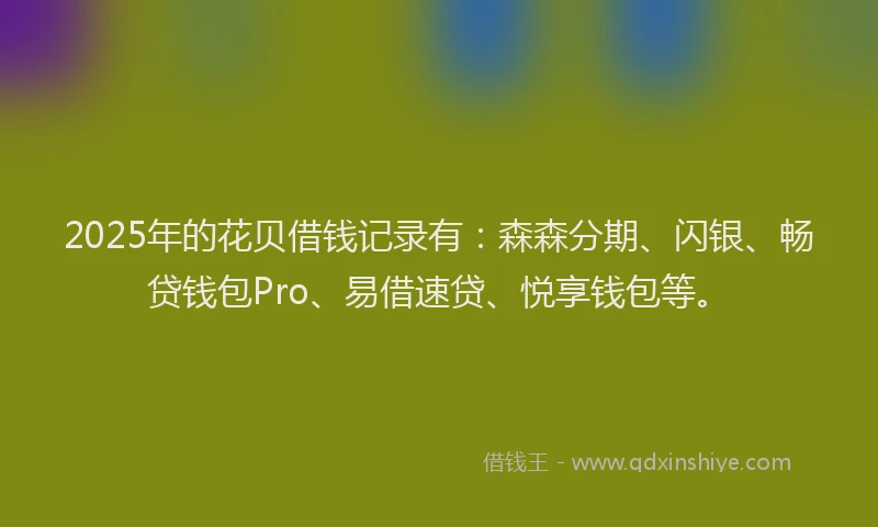 2025年的花贝借钱记录有：森森分期、闪银、畅贷钱包Pro、易借速贷、悦享钱包等。