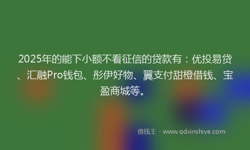 2025年的能下小额不看征信的贷款有：优投易贷、汇融Pro钱包、彤伊好物、翼支付甜橙借钱、宝盈商城等。