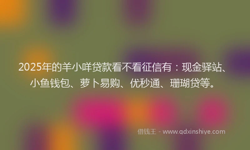 2025年的羊小咩贷款看不看征信有：现金驿站、小鱼钱包、萝卜易购、优秒通、珊瑚贷等。