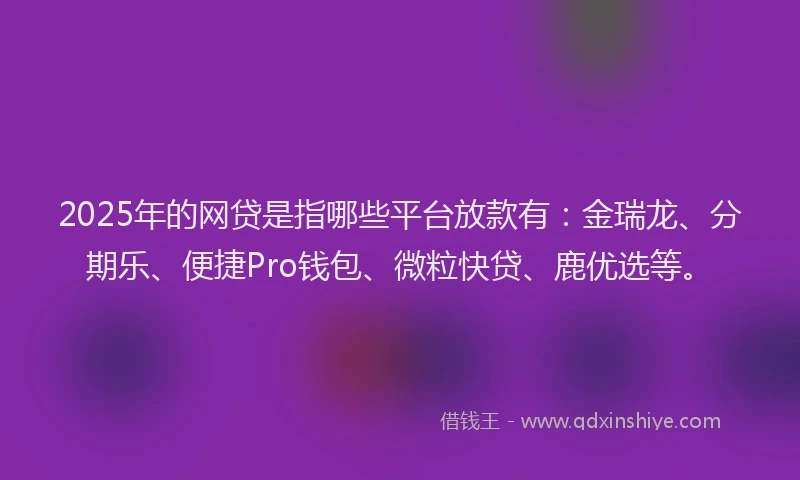2025年的网贷是指哪些平台放款有：金瑞龙、分期乐、便捷Pro钱包、微粒快贷、鹿优选等。