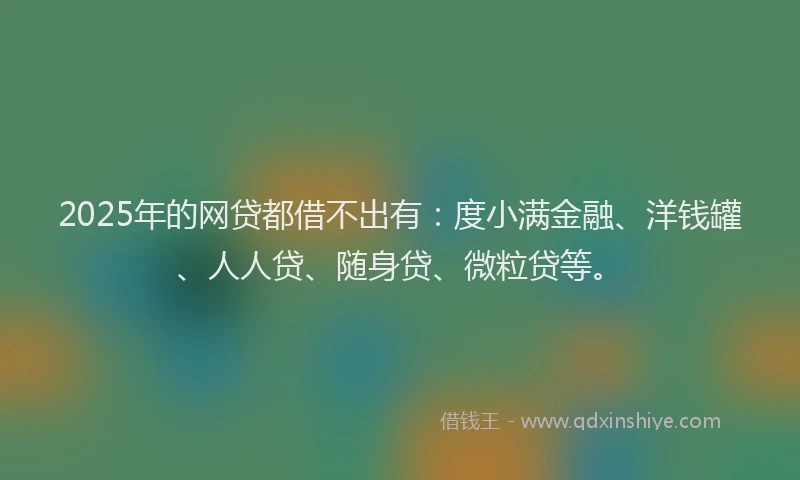 2025年的网贷都借不出有：度小满金融、洋钱罐、人人贷、随身贷、微粒贷等。