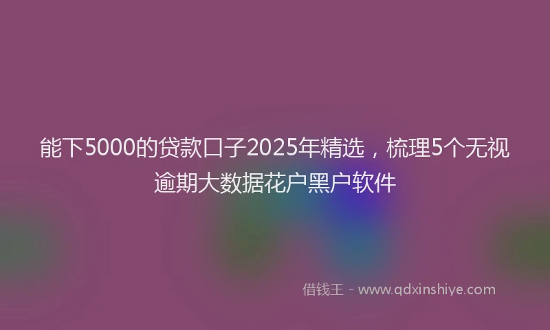 能下5000的贷款口子2025年精选，梳理5个无视逾期大数据花户黑户软件