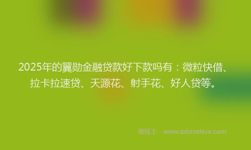 2025年的翼勋金融贷款好下款吗有：微粒快借、拉卡拉速贷、天源花、射手花、好人贷等。