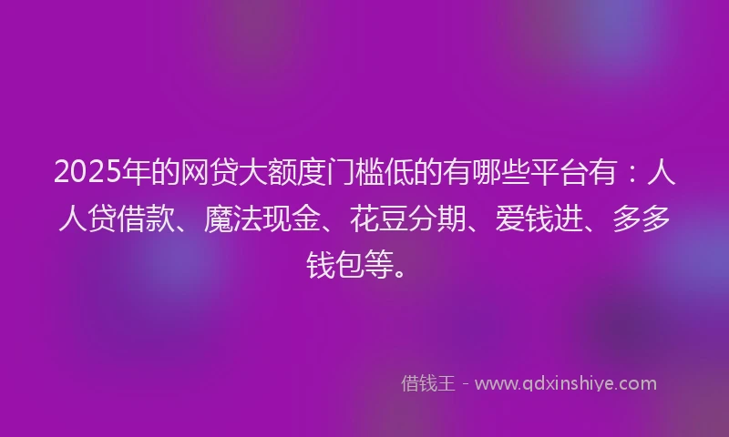 2025年的网贷大额度门槛低的有哪些平台有：人人贷借款、魔法现金、花豆分期、爱钱进、多多钱包等。