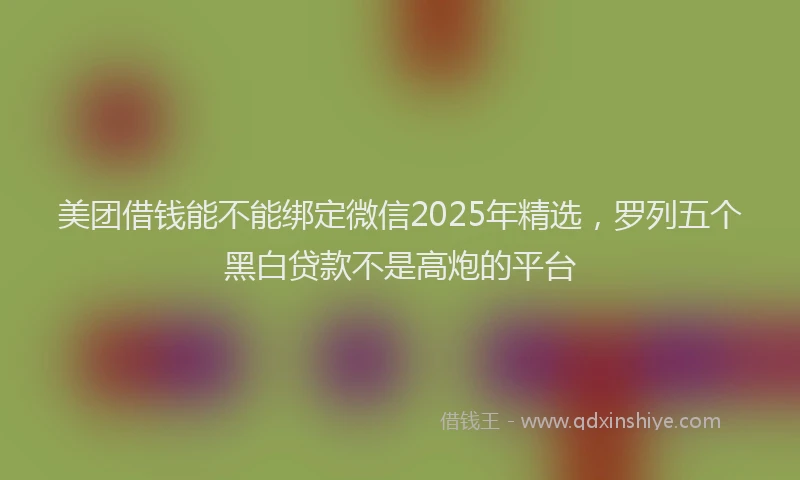美团借钱能不能绑定微信2025年精选，罗列五个黑白贷款不是高炮的平台