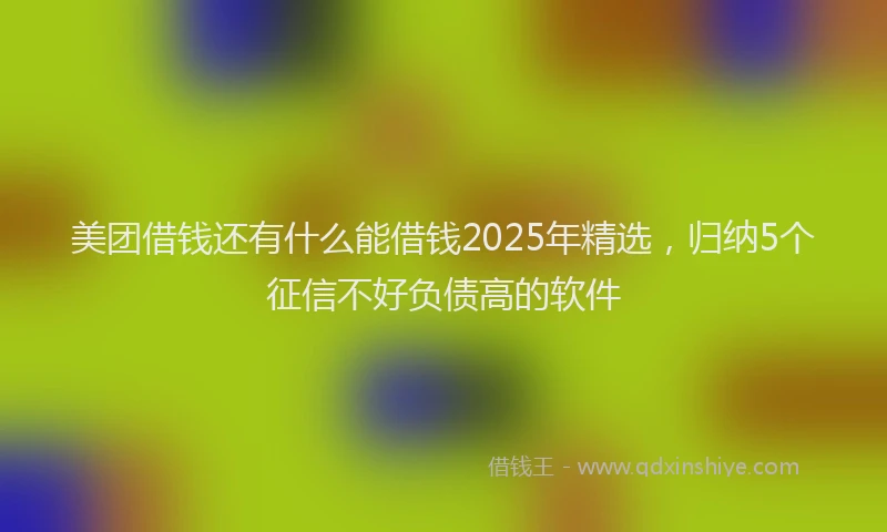 美团借钱还有什么能借钱2025年精选，归纳5个征信不好负债高的软件