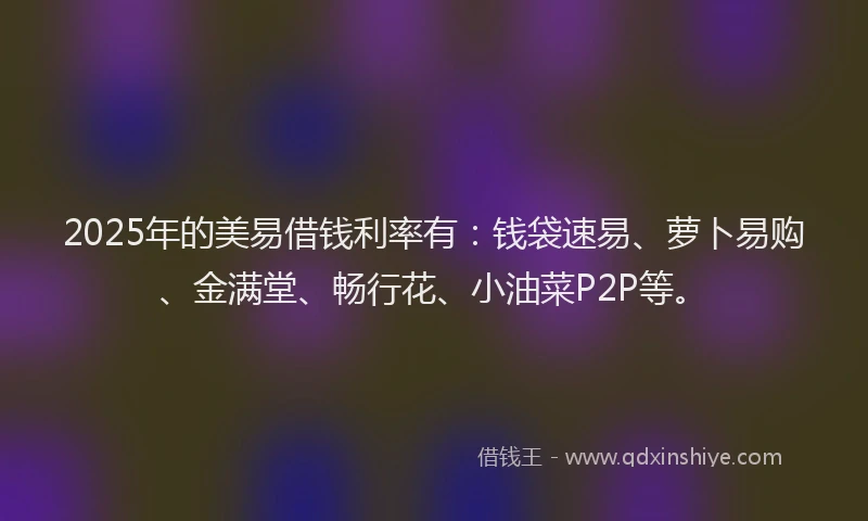 2025年的美易借钱利率有：钱袋速易、萝卜易购、金满堂、畅行花、小油菜P2P等。