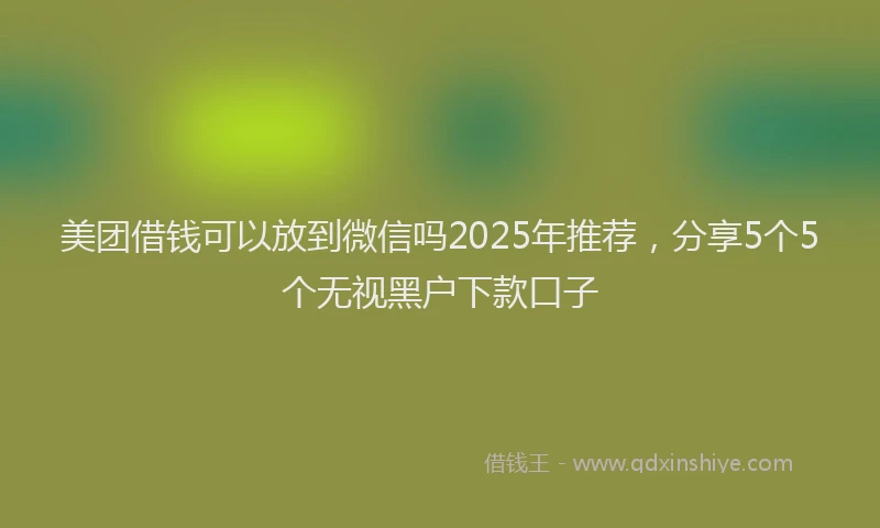 美团借钱可以放到微信吗2025年推荐，分享5个5个无视黑户下款口子