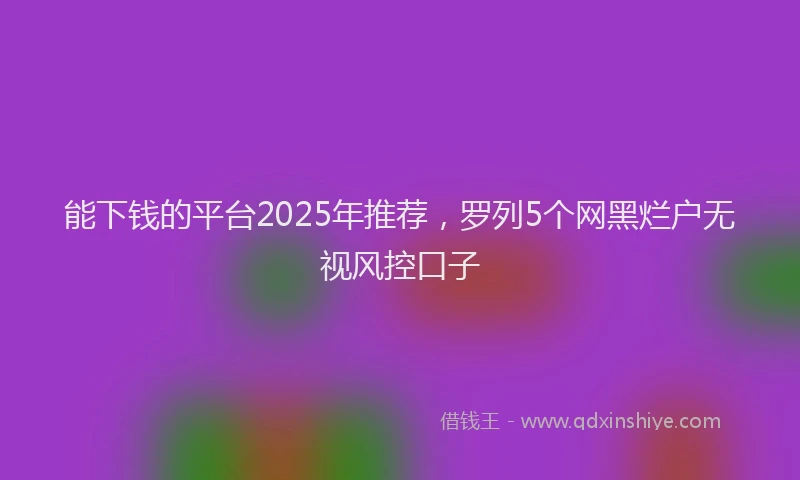 能下钱的平台2025年推荐，罗列5个网黑烂户无视风控口子