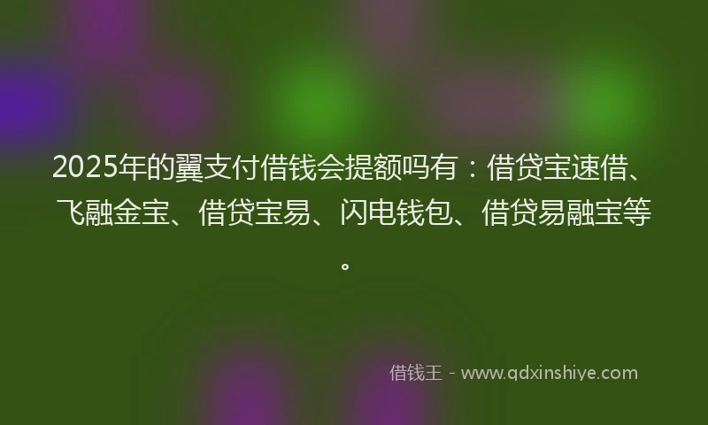 2025年的翼支付借钱会提额吗有：借贷宝速借、飞融金宝、借贷宝易、闪电钱包、借贷易融宝等。