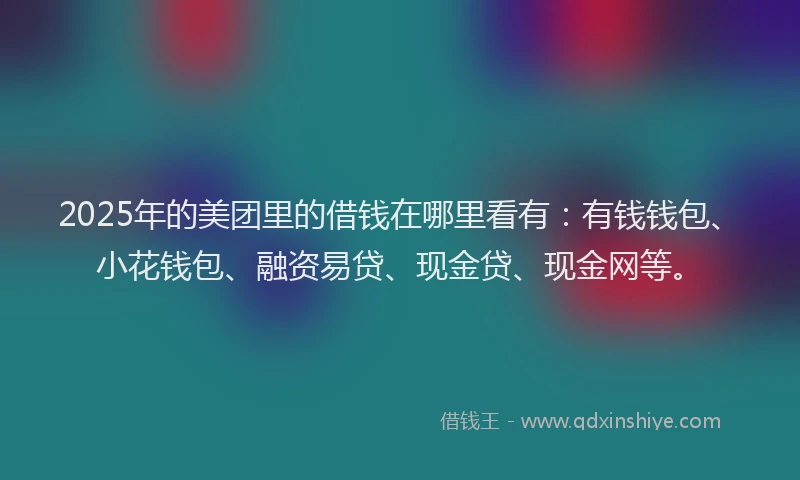 2025年的美团里的借钱在哪里看有：有钱钱包、小花钱包、融资易贷、现金贷、现金网等。