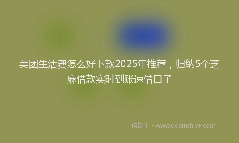 美团生活费怎么好下款2025年推荐，归纳5个芝麻借款实时到账速借口子
