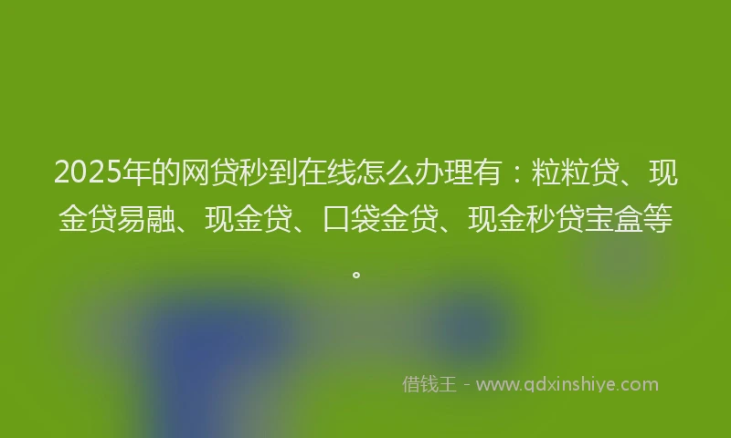 2025年的网贷秒到在线怎么办理有：粒粒贷、现金贷易融、现金贷、口袋金贷、现金秒贷宝盒等。