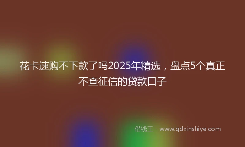 花卡速购不下款了吗2025年精选，盘点5个真正不查征信的贷款口子