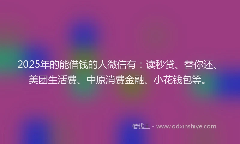 2025年的能借钱的人微信有：读秒贷、替你还、美团生活费、中原消费金融、小花钱包等。