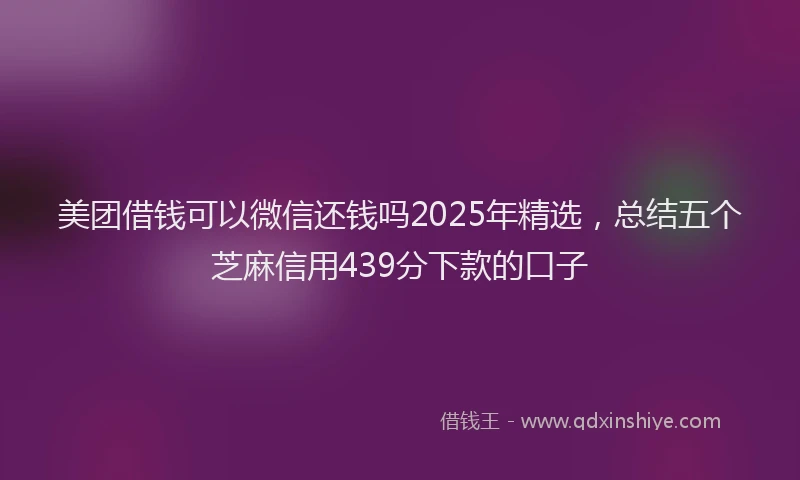 美团借钱可以微信还钱吗2025年精选，总结五个芝麻信用439分下款的口子
