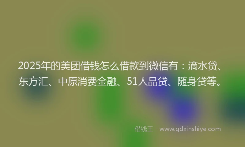 2025年的美团借钱怎么借款到微信有：滴水贷、东方汇、中原消费金融、51人品贷、随身贷等。