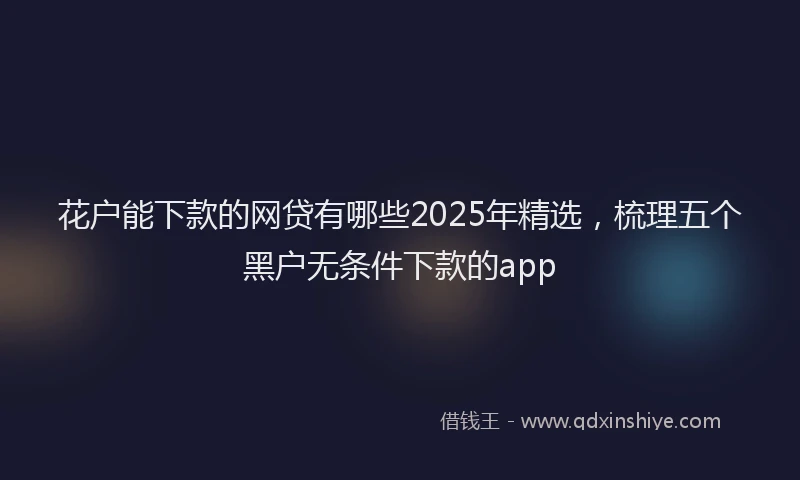 花户能下款的网贷有哪些2025年精选，梳理五个黑户无条件下款的app
