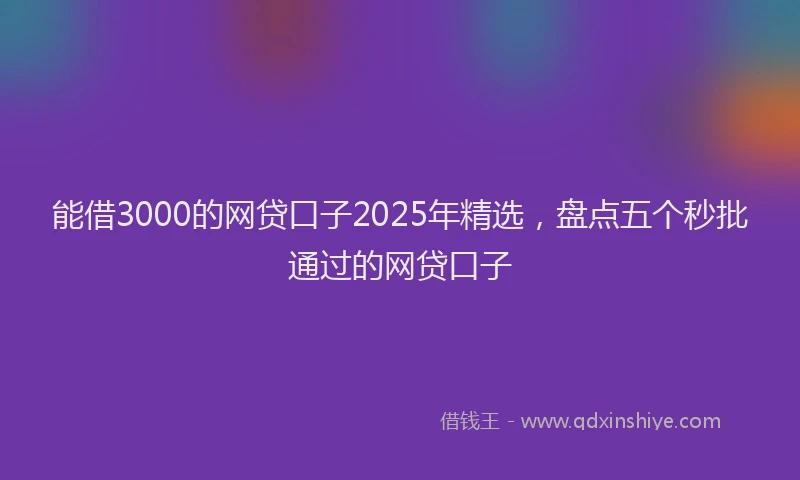 能借3000的网贷口子2025年精选，盘点五个秒批通过的网贷口子