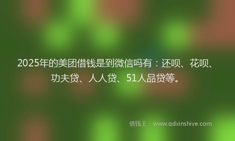 2025年的美团借钱是到微信吗有：还呗、花呗、功夫贷、人人贷、51人品贷等。