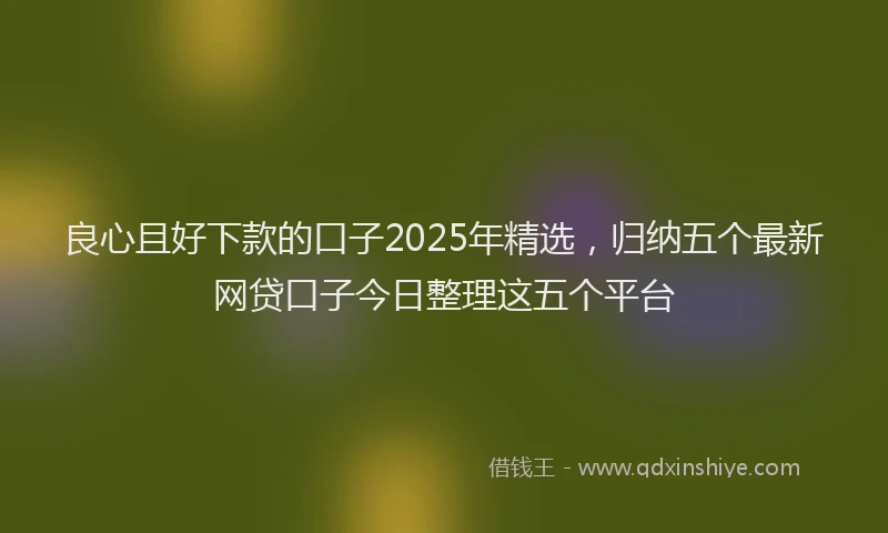 良心且好下款的口子2025年精选，归纳五个最新网贷口子今日整理这五个平台