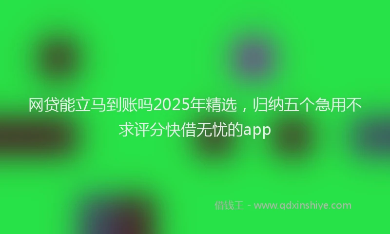 网贷能立马到账吗2025年精选，归纳五个急用不求评分快借无忧的app